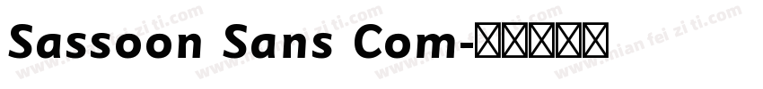 Sassoon Sans Com字体转换